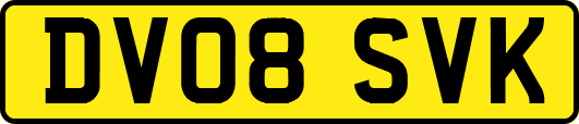 DV08SVK