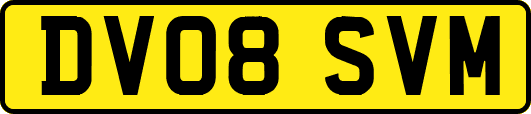 DV08SVM