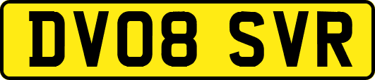 DV08SVR
