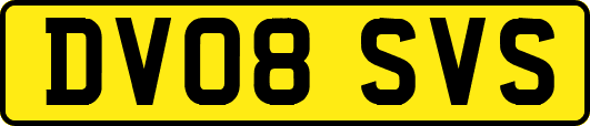 DV08SVS