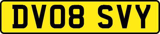 DV08SVY
