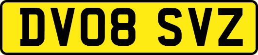 DV08SVZ