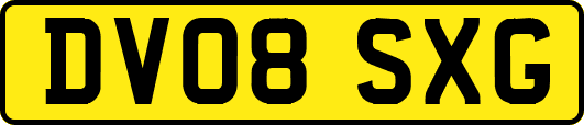 DV08SXG