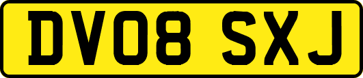 DV08SXJ