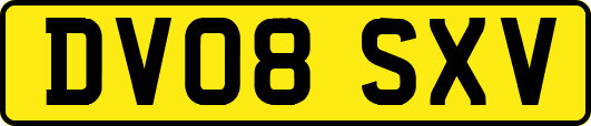 DV08SXV