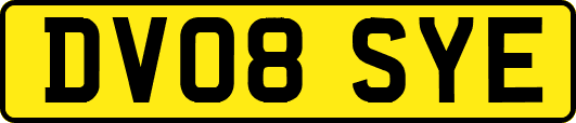 DV08SYE