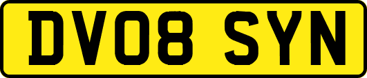DV08SYN