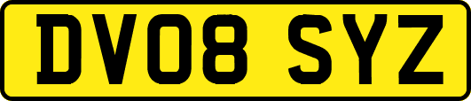 DV08SYZ