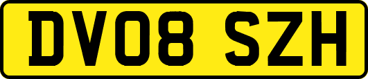 DV08SZH
