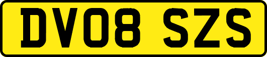 DV08SZS