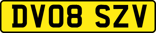 DV08SZV