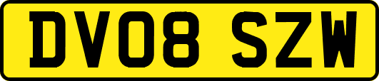 DV08SZW