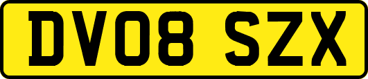 DV08SZX