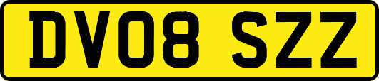 DV08SZZ