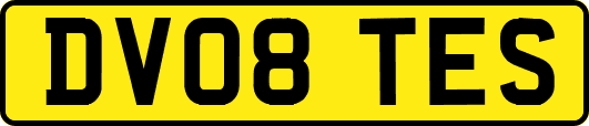 DV08TES