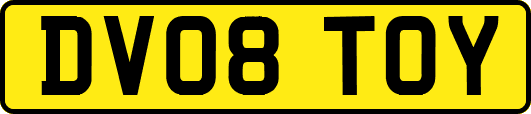 DV08TOY