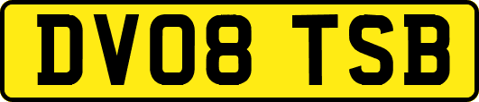 DV08TSB