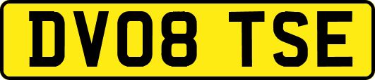 DV08TSE