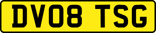 DV08TSG