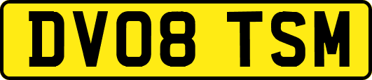 DV08TSM