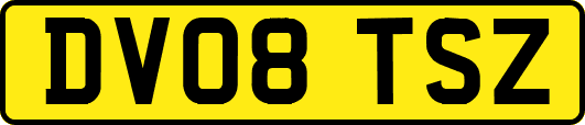 DV08TSZ