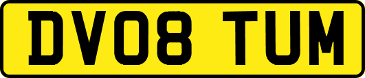 DV08TUM