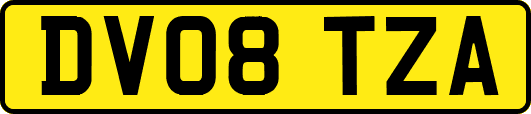 DV08TZA