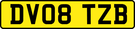DV08TZB