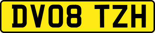 DV08TZH