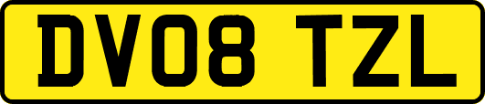 DV08TZL