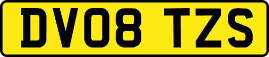 DV08TZS