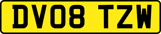 DV08TZW