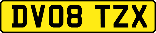 DV08TZX