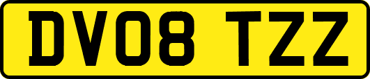 DV08TZZ