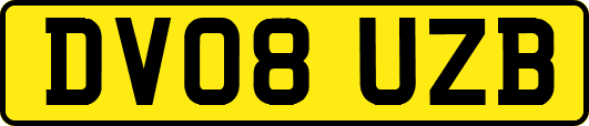 DV08UZB