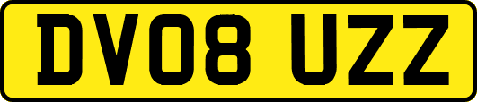 DV08UZZ
