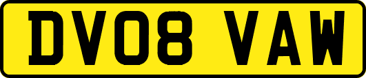 DV08VAW