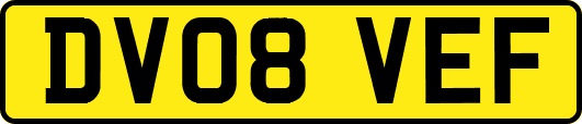 DV08VEF