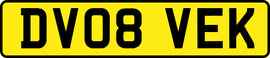 DV08VEK