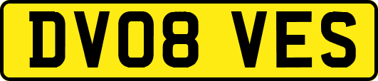 DV08VES