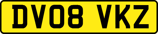 DV08VKZ