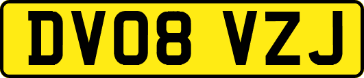 DV08VZJ