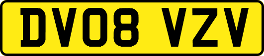 DV08VZV