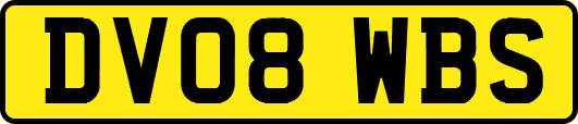 DV08WBS