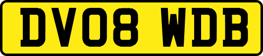 DV08WDB