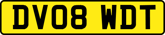 DV08WDT