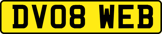 DV08WEB