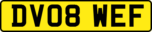 DV08WEF