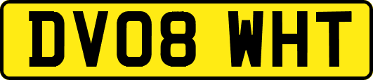 DV08WHT