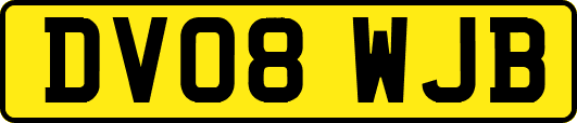 DV08WJB